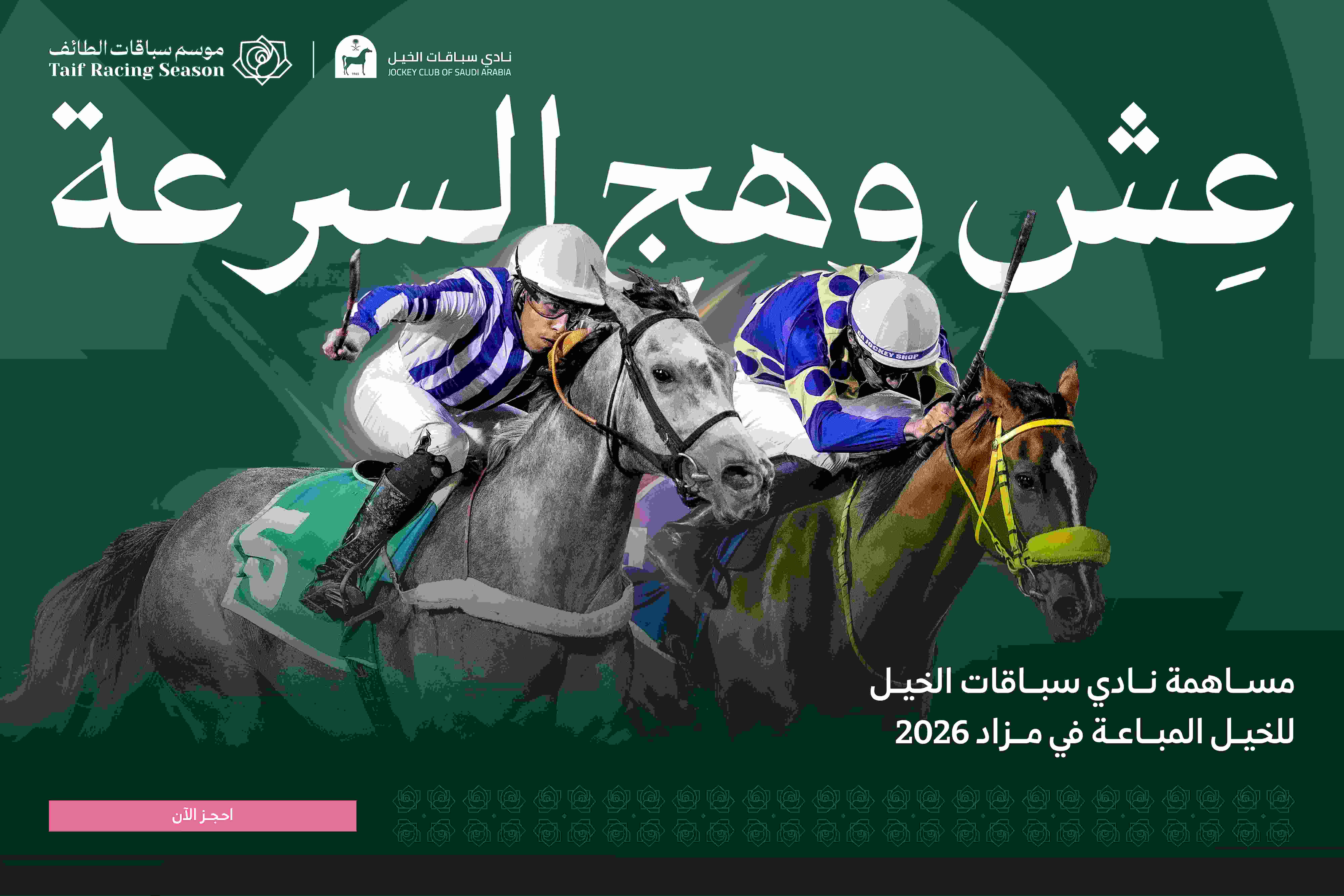 مساهمة نادي سباقات الخيل للخيل المباعة في مزاد 2026