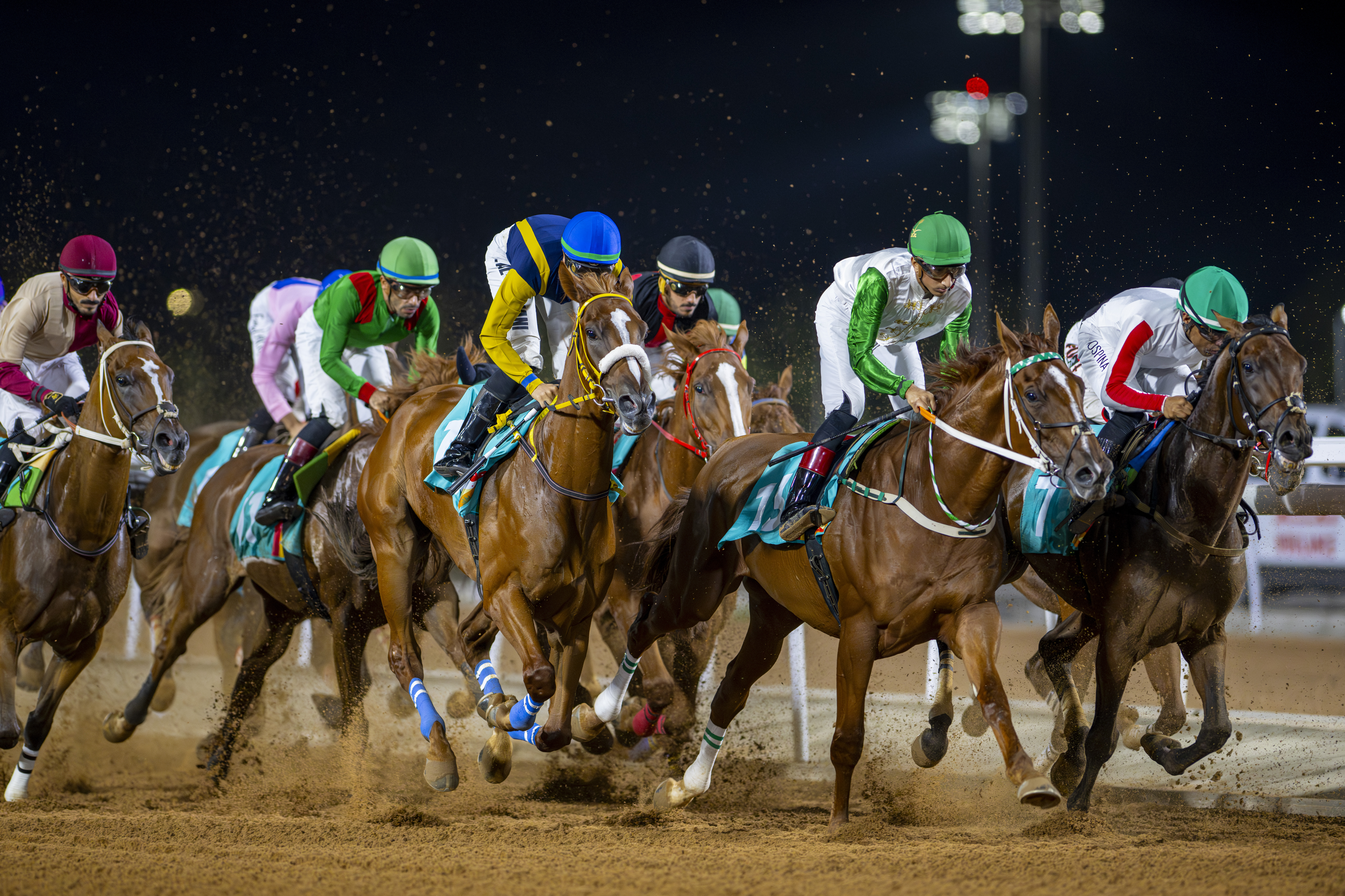 https://wbk-assets-backup.s3.eu-west-1.amazonaws.com/public/uploads/events_group/riyadh-racing-season-5-1726142378-gallery.JPG
